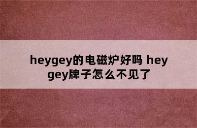 heygey的电磁炉好吗 heygey牌子怎么不见了